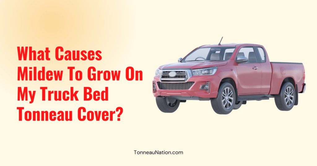 Mildew Truck Bed Tonneau