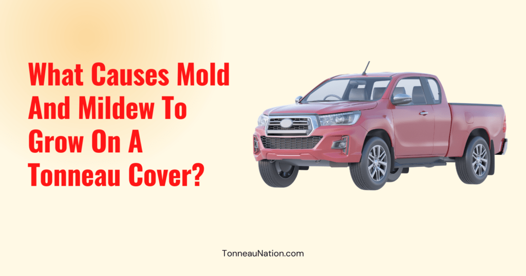 Mold Mildew On Tonneau
