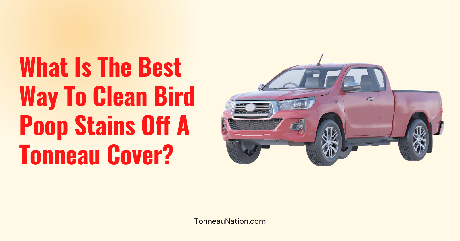 Cleaning Tonneau Bird Poop Stains