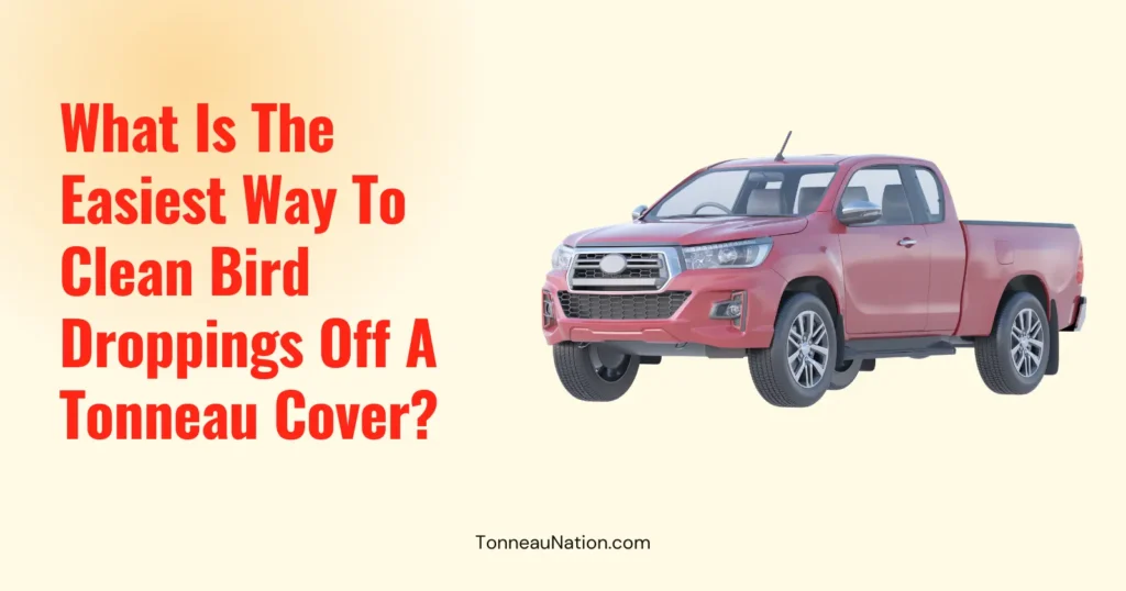 Cleaning Bird Poop Tonneau